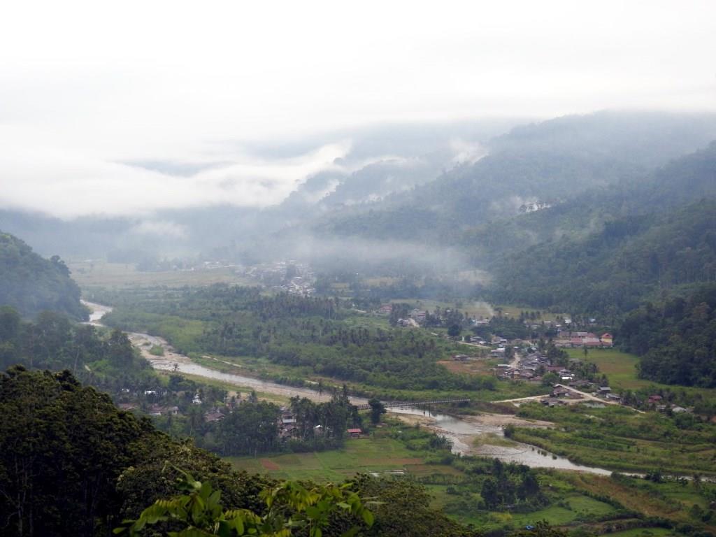 Begini Masyarakat Pining Menjaga Hutan Adat