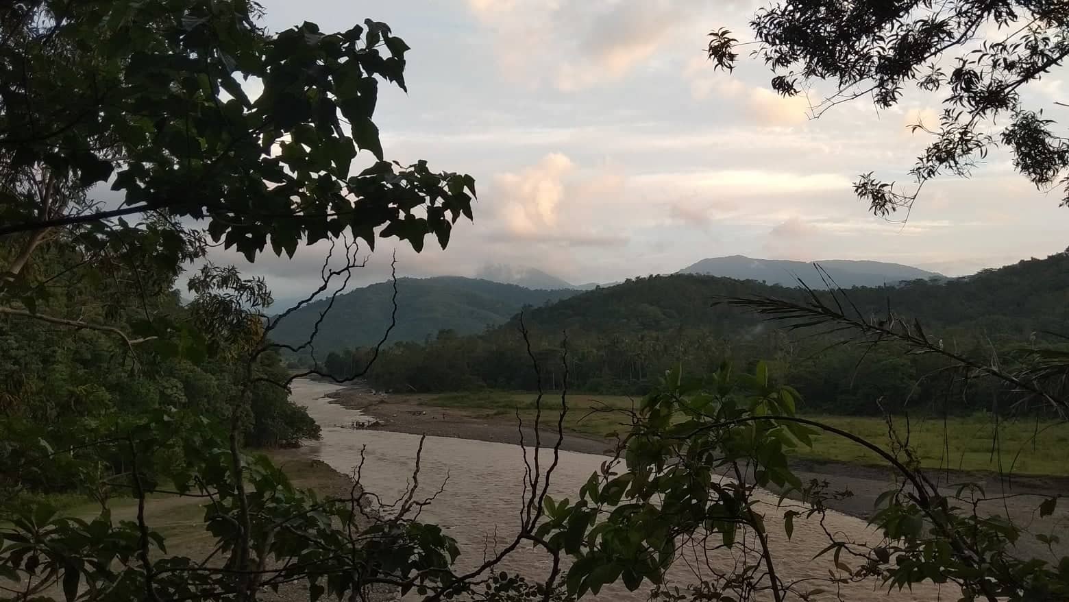 KLHK akan Lakukan Penghijaun di Tiro dan Tangse