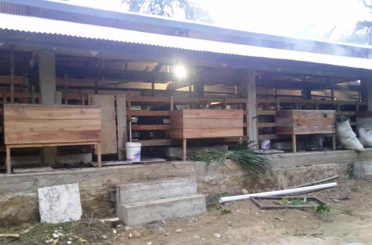 Lembaga Bimteks tak Terakreditasi Rogoh Rp 3 Juta pada tiap 222 Gampong di Pijay